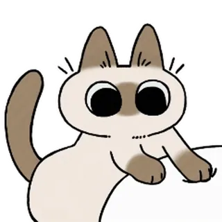 siamesecatlive_video sticker 7