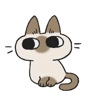 siamesecatlive_video sticker 9