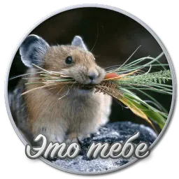 Сибирский Валенок sticker 11