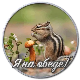 Сибирский Валенок sticker 7