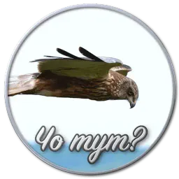 Сибирский Валенок sticker 8