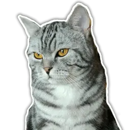 Кот-скептик sticker 2