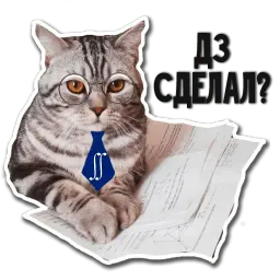 Кот-скептик sticker 11
