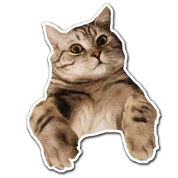 Кот-скептик sticker 3