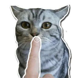 Кот-скептик sticker 4