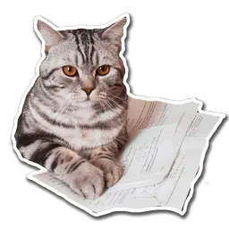 Кот-скептик sticker 7