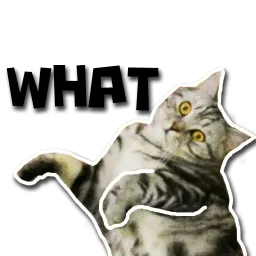 Кот-скептик sticker 8