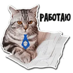 Кот-скептик sticker 9