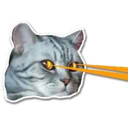 Кот-скептик sticker 10