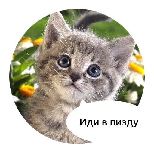Kolobok sticker 60