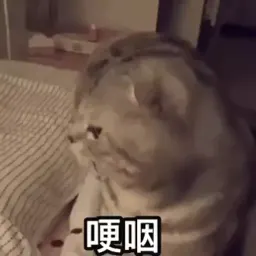 Смешные коты sticker 3