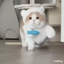 Смешные коты sticker 10