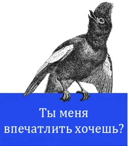 Твои стикеры — @stckrRobot Telegram sticker pack