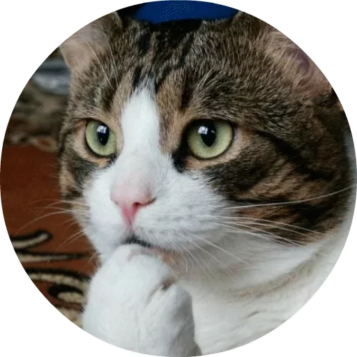 Твои стикеры — @stckrRobot sticker 7