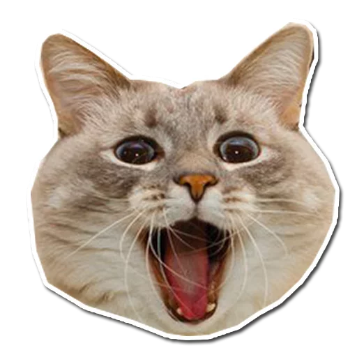 Твои стикеры — @stckrRobot sticker 9