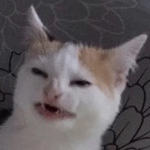Твои стикеры — @stckrRobot sticker 12