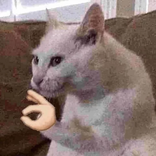 Твои стикеры — @stckrRobot sticker 9