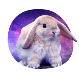 Космокролики sticker 2