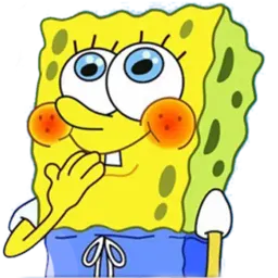 sponge sticker 11