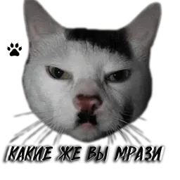 Стаканы sticker 12