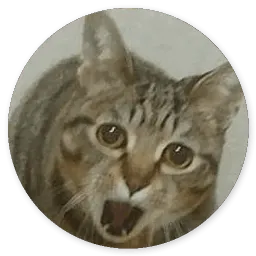 Глупые кошки sticker 11