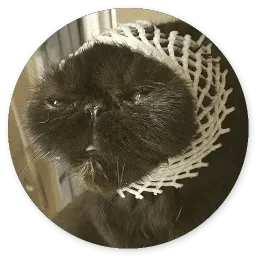 Глупые кошки sticker 12