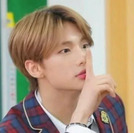 Stray Kids Telegram sticker pack