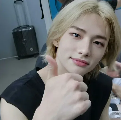 Stray Kids sticker 11