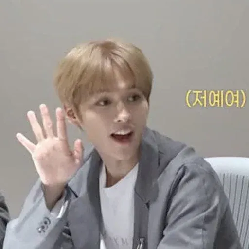 Stray Kids sticker 101