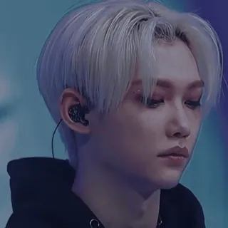 Stray Kids sticker 110