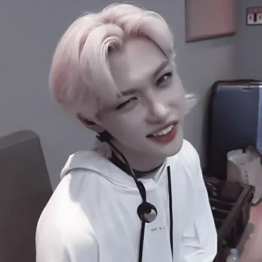 Stray Kids sticker 111