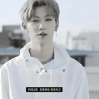 Stray Kids sticker 114