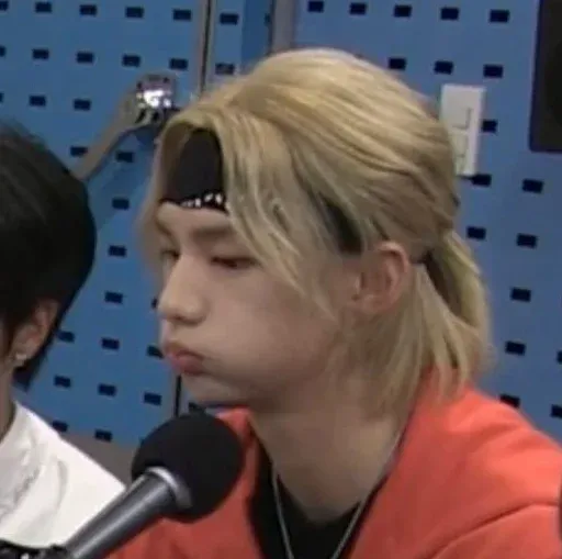 Stray Kids sticker 21