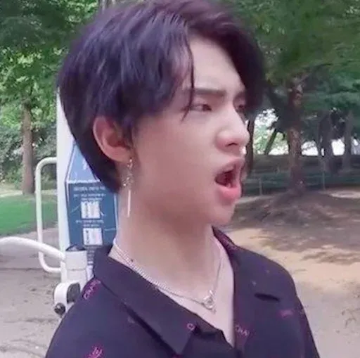 Stray Kids sticker 24