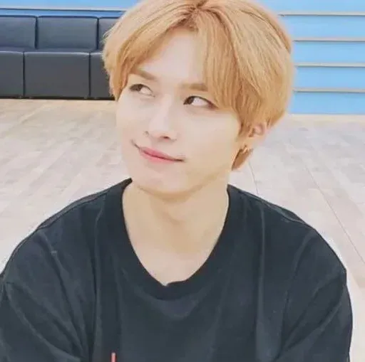 Stray Kids sticker 26