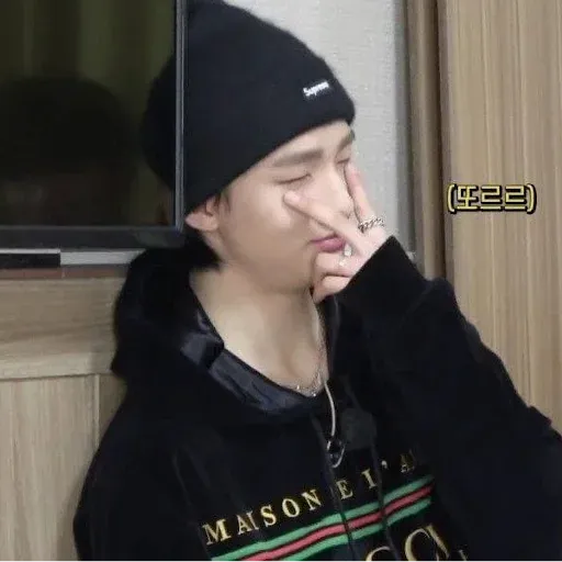 Stray Kids sticker 49