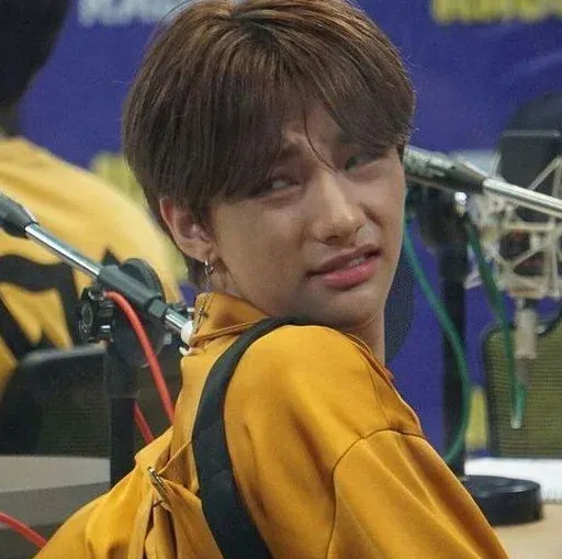 Stray Kids sticker 6