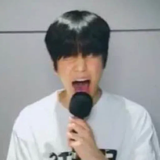 Stray Kids sticker 71