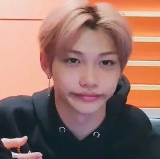 Stray Kids sticker 9