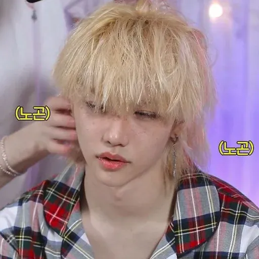 Stray Kids sticker 95