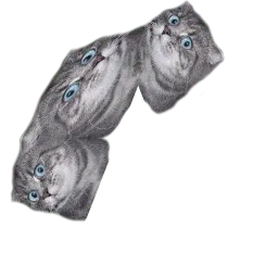 Удивлённый кот sticker 11