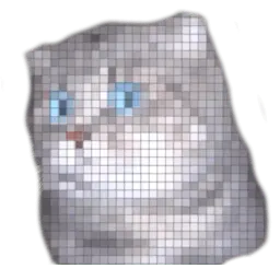 Удивлённый кот sticker 9