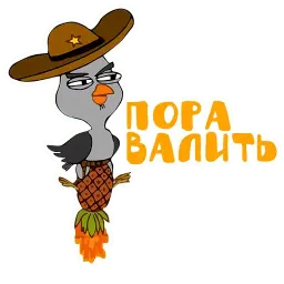 Sova sticker 3