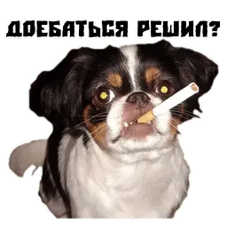 Псина сутулая sticker 11