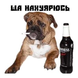 Псина сутулая sticker 12