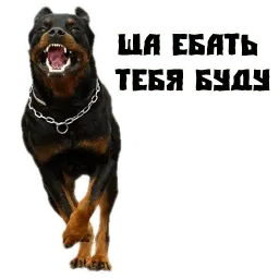 Псина сутулая sticker 3