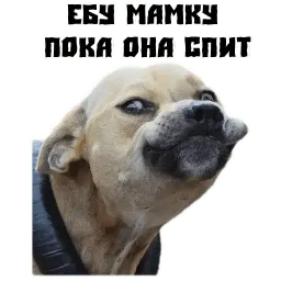 Псина сутулая sticker 4
