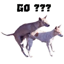 Псина сутулая sticker 5