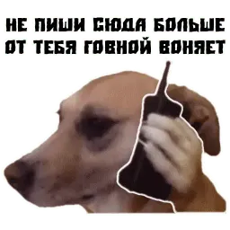 Псина сутулая sticker 6