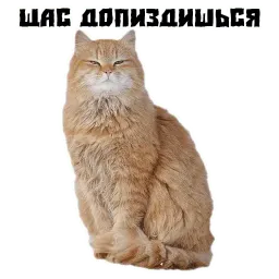 Псина сутулая sticker 8